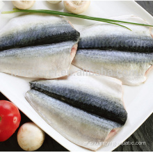 Frozen Fish Pacific Mackerel Flap مع معيار الاتحاد الأوروبي